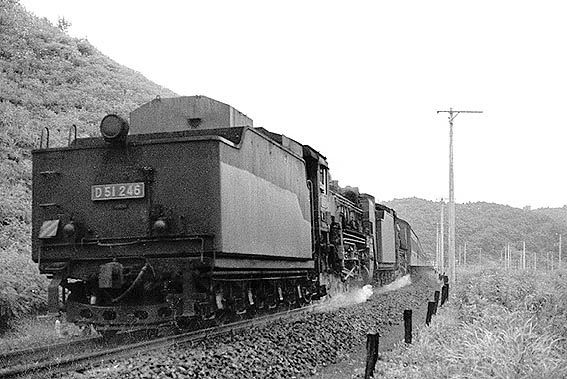 D51246