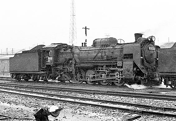 D51333