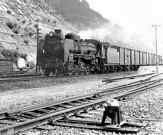D51443