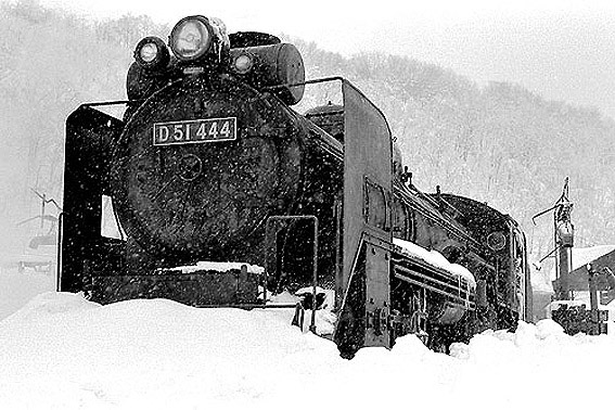 D51444