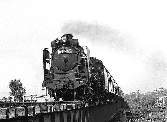 D51483