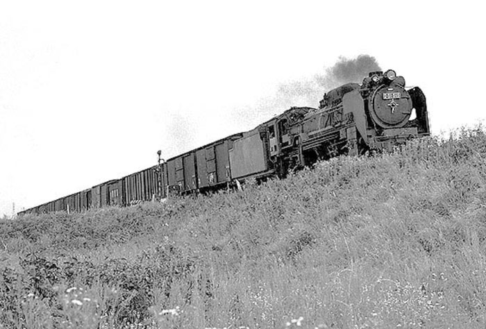 D51515
