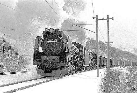 D51598