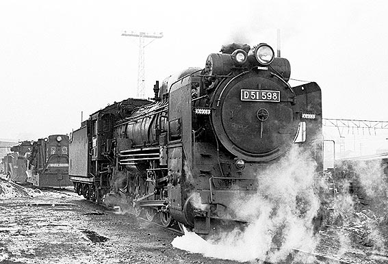 D51598