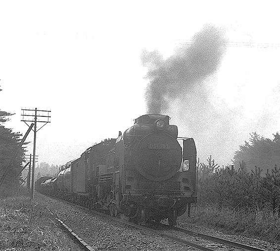 D51703