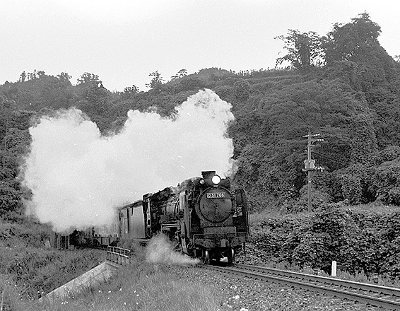 D51766