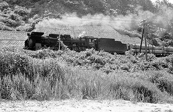 D51775