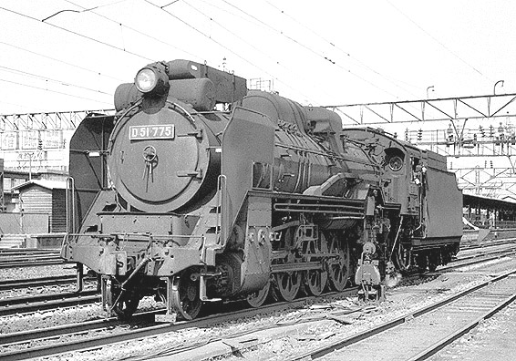 D51775