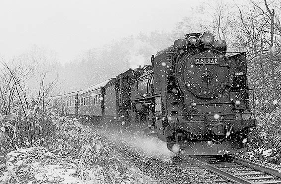 D51942