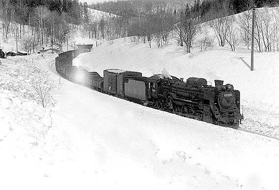D51953