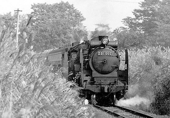 D511002