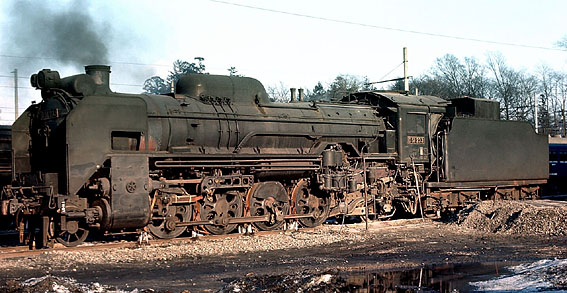 D51233