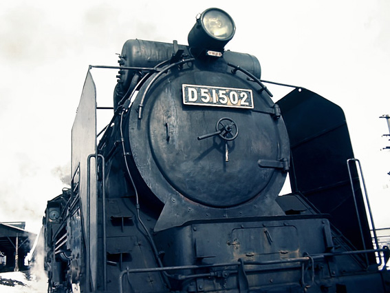 D51502