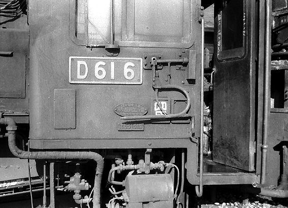 D51519