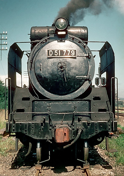 D51779