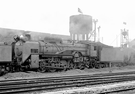 D51923
