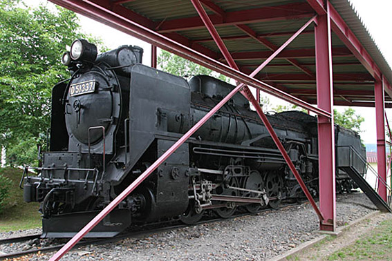 D51337