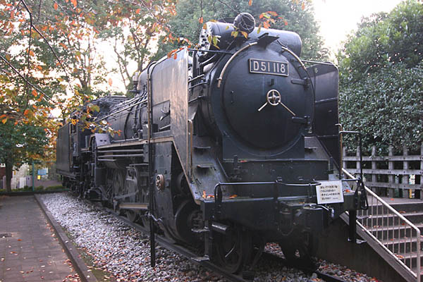 D51118