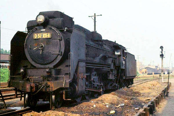 D51254