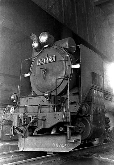 D51460