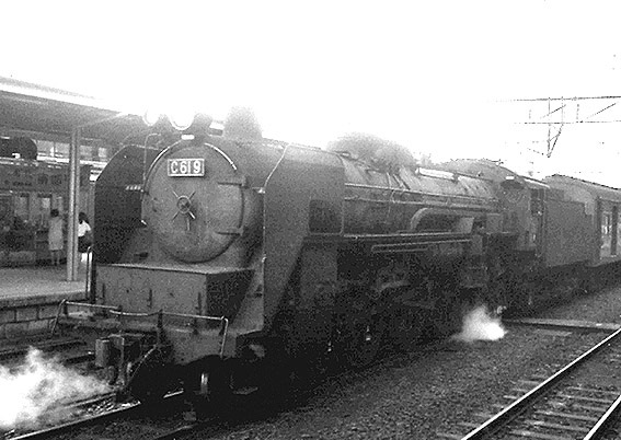 D51925