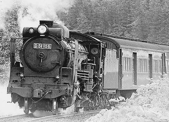 D51156