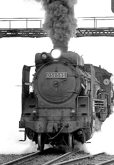 D51585