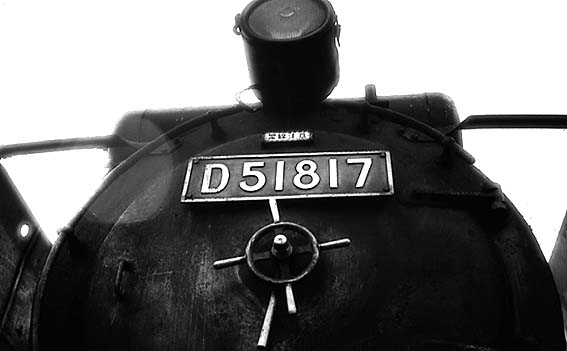 D51817