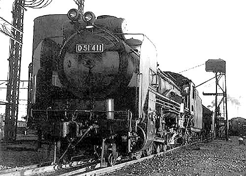 D51411