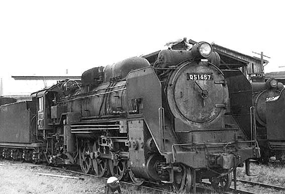 D51487