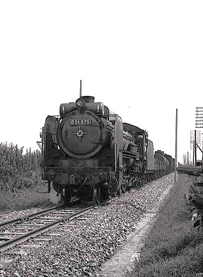 D51875