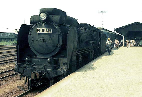 D51524