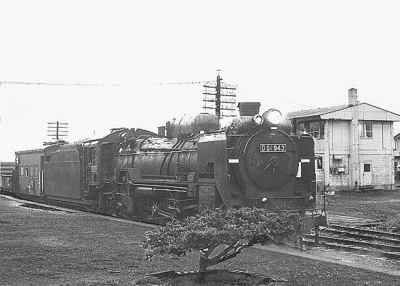 D51943