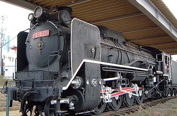 D51566