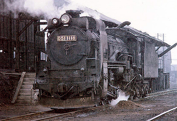 D511118