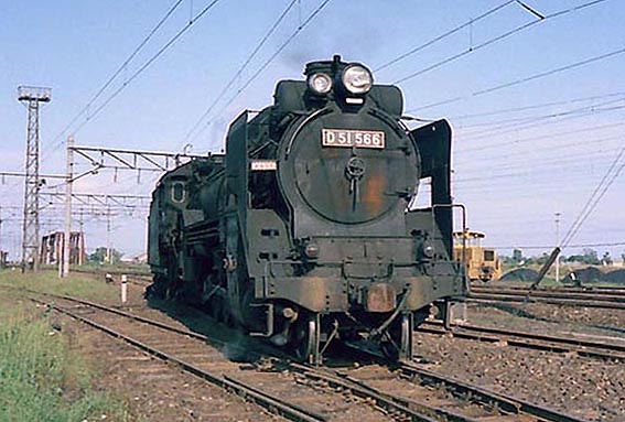 D51566