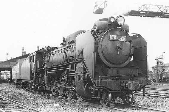 D51525