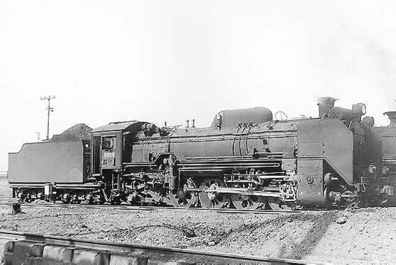 D51575