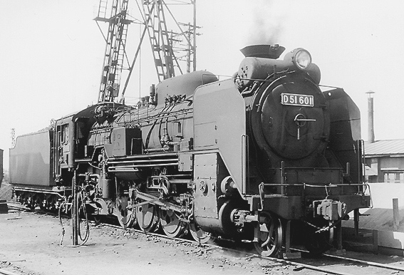 D51601