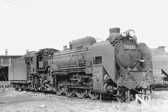 D51629