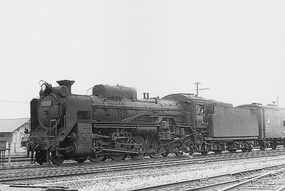 D51913