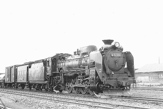 D51950