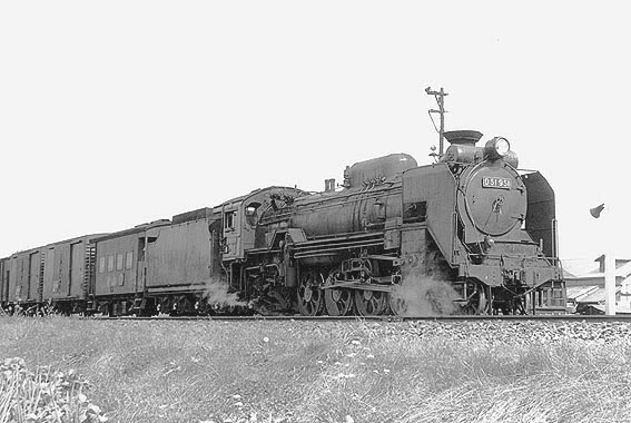 D51951