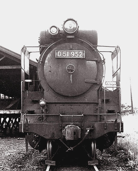D51952