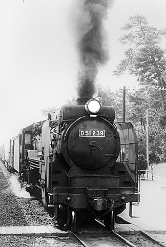 D51239