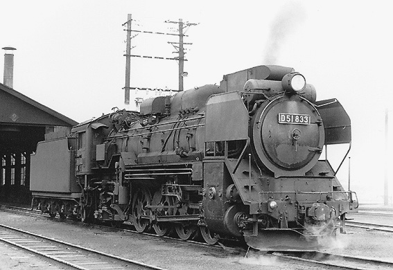 D51833