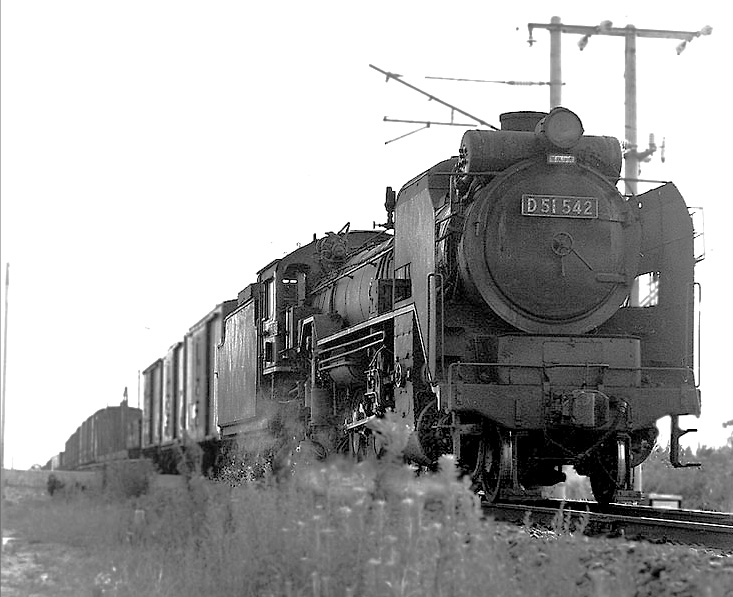 D51542