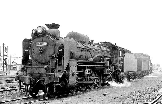 D51219