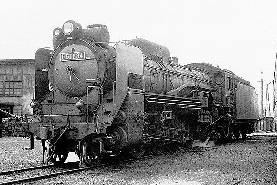 D51234