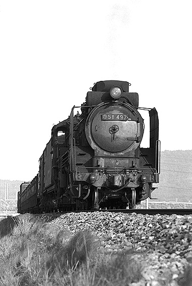 D51497